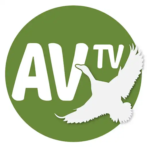 Free play online AVTV APK