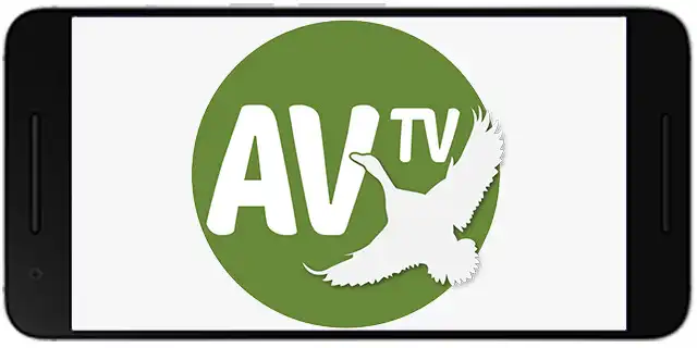 Play AVTV