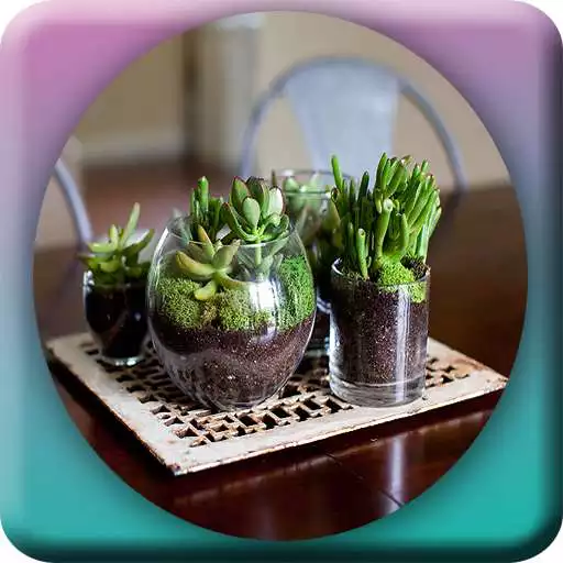 Free play online Awesome DIY Terrarium Design APK