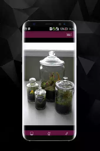 Play Awesome DIY Terrarium Design