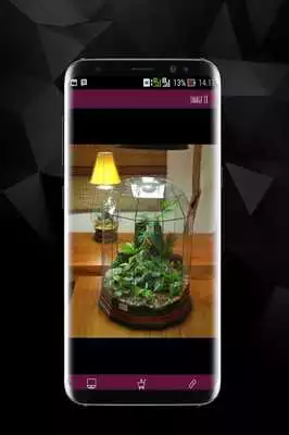 Play Awesome DIY Terrarium Design