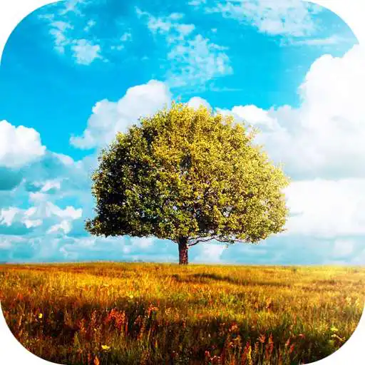 Play Awesome-Land 2 live wallpaper : Plant a Tree !! APK