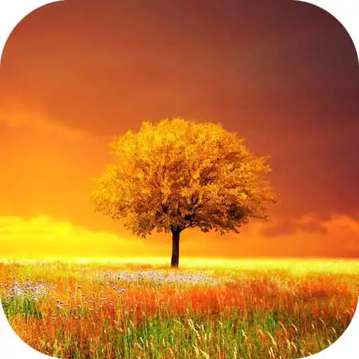 Play Awesome-Land Pro Live wallpaper APK