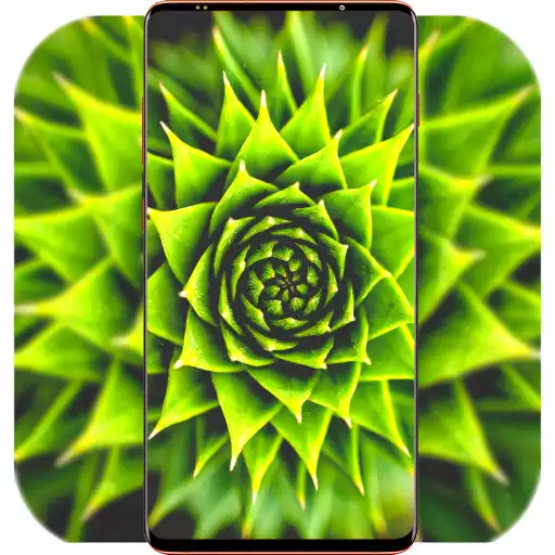 Play Awesome Wallpaper 4K APK