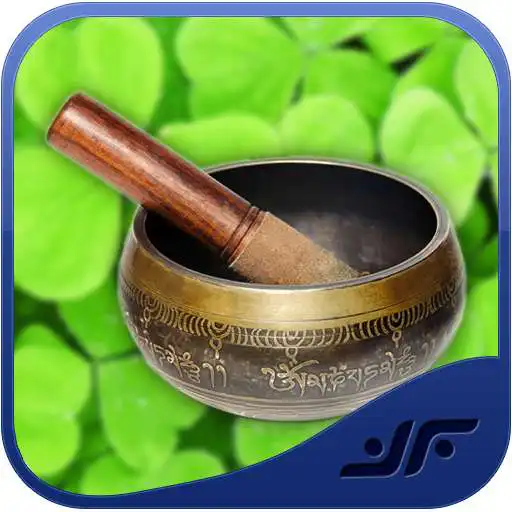 Play Ayurvedic Remedies APK