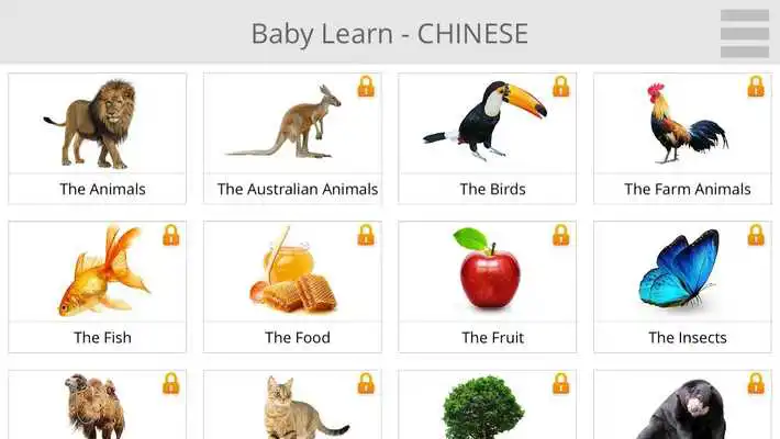 Play Baby Learn CHINESE