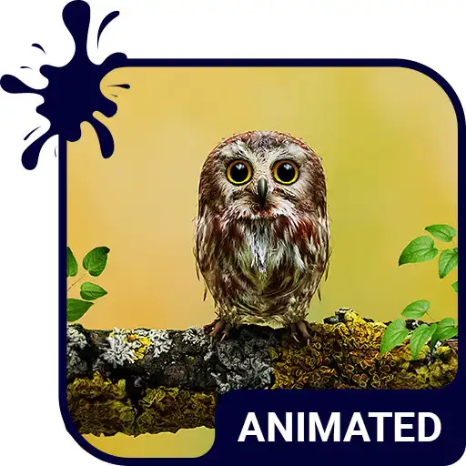 Free play online Baby Owl Animated Keyboard + Live Wallpaper APK