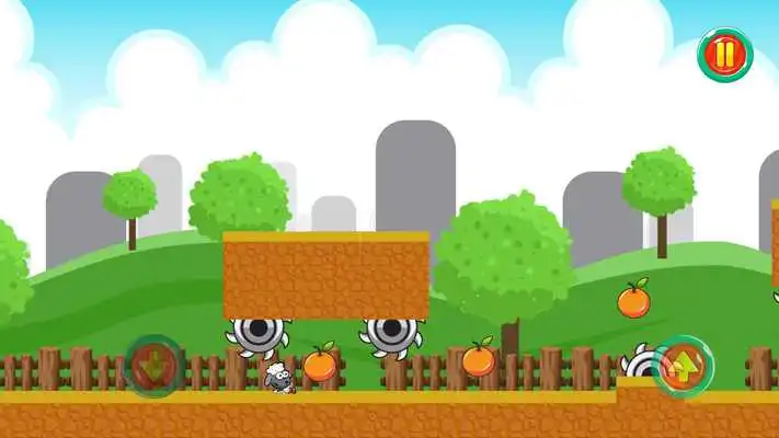 Play Baby Sheep Run