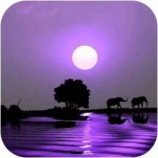 Play Background  dusk wallpaper APK