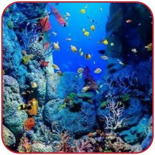 Play Background Under The Sea wallpaper APK