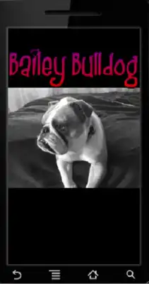 Play Bailey Bulldog