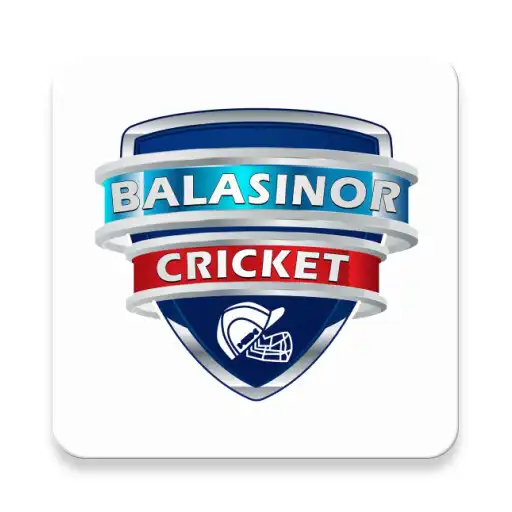 Play Balasinor Cricket APK