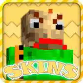 Free play online Baldi skins for Minecraft APK