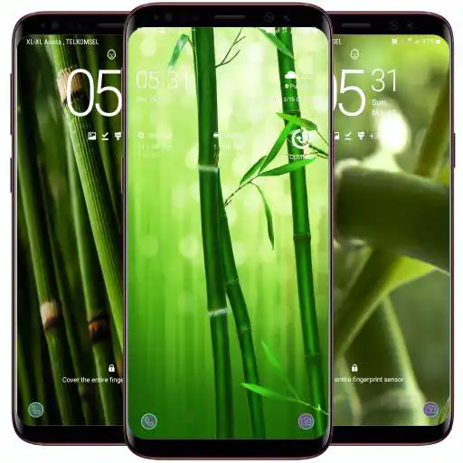 Play Bamboo Wallpaper APK