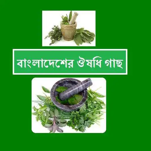 Play Bangladeshi Herbal Treatment APK