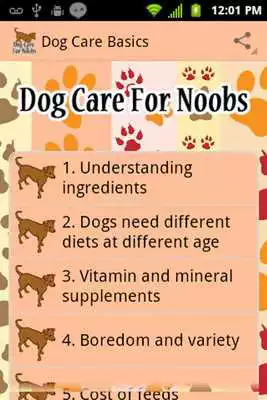 Play Basics of Dog Care