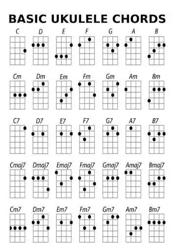 Play Bass Guitar Chords