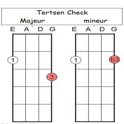 Play Bass Guitar Chords