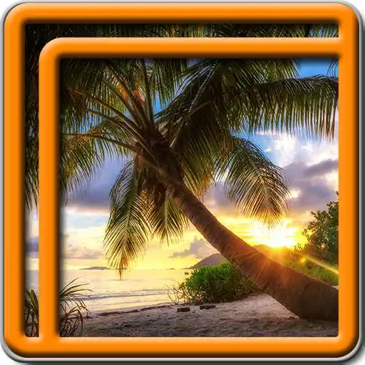 Free play online Beach Sunrise Live Wallpapers  APK