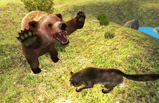 Play Bear Rampage