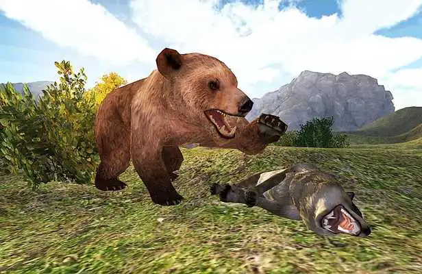 Play Bear Rampage