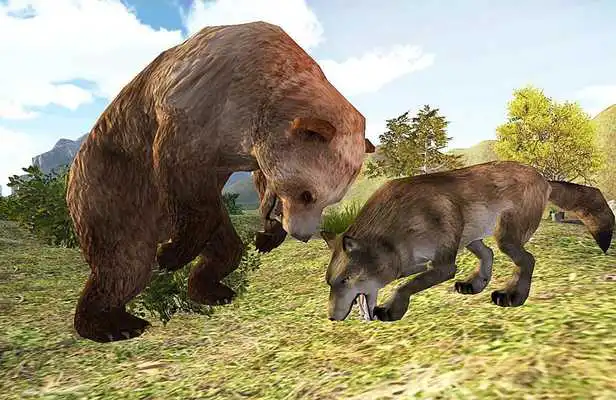 Play Bear Rampage