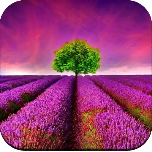 Play Beautiful Place Wallpaper 4K APK