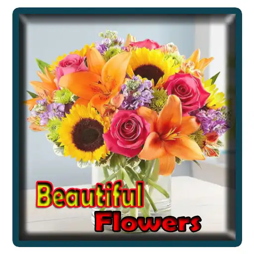 Play Beautiful Red Flowers 4K APK