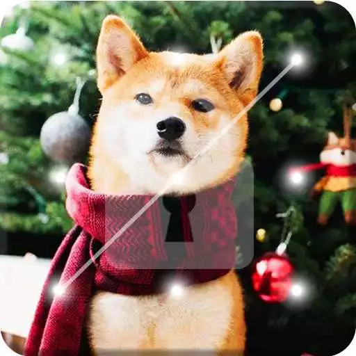 Play Beautiful Shiba Inu Dog Screen Lock APK