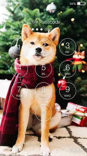 Play Beautiful Shiba Inu Dog Screen Lock as an online game Beautiful Shiba Inu Dog Screen Lock with UptoPlay