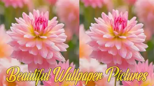 Play Beautiful Wallpaper Pictures  and enjoy Beautiful Wallpaper Pictures with UptoPlay