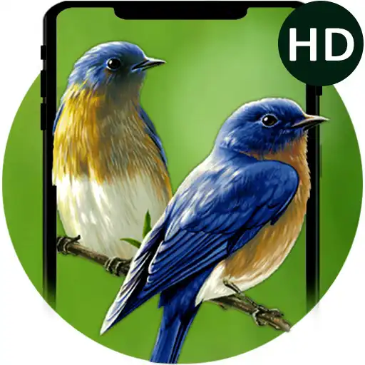 Play Beauty Birds Live Wallpaper&Themes- HD Bird Images APK