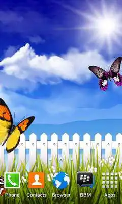 Play Beauty Butterfly Scenery LWP