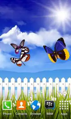 Play Beauty Butterfly Scenery LWP