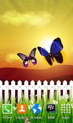 Play Beauty Butterfly Scenery LWP