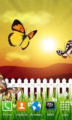 Play Beauty Butterfly Scenery LWP