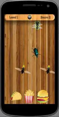 Play Beetles smasher, Best game