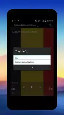 Play Belgium National Anthem