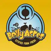 Free play online Belly Acres APK