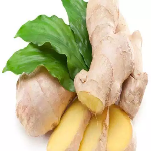 Play Benefits Ginger for your health