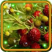 Free play online Berry Best live wallpaper APK