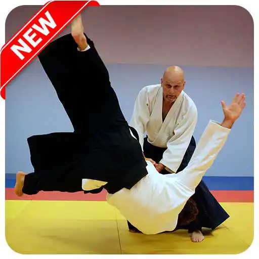 Run free android online Best Aikido Technique APK