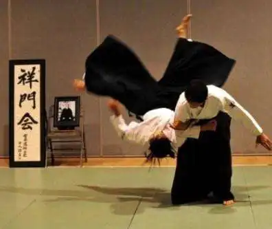 Play APK Best Aikido Technique  and enjoy Best Aikido Technique with UptoPlay com.BestAikidoTechnique.ParamountDev