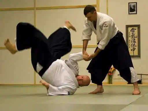 Play APK Best Aikido Technique  and enjoy Best Aikido Technique with UptoPlay com.BestAikidoTechnique.ParamountDev