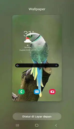 Play Best Bird Wallpaper  and enjoy Best Bird Wallpaper with UptoPlay