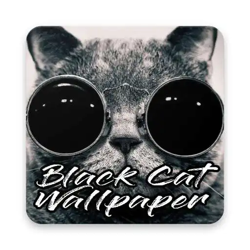 Play Best Black Cat Wallpapers APK