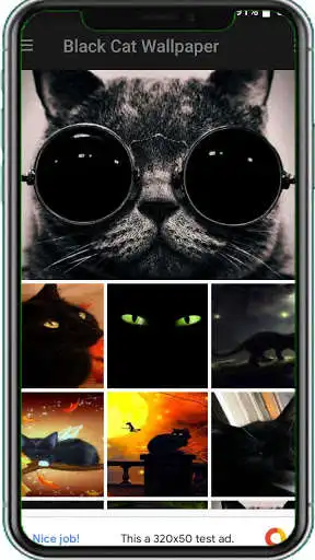 Play Best Black Cat Wallpapers  and enjoy Best Black Cat Wallpapers with UptoPlay