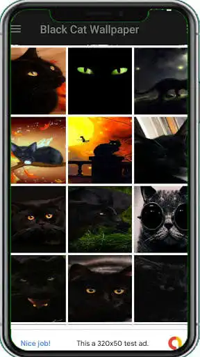 Play Best Black Cat Wallpapers as an online game Best Black Cat Wallpapers with UptoPlay