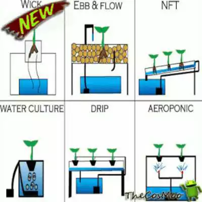 Play Best Hydroponic Farming Ideas