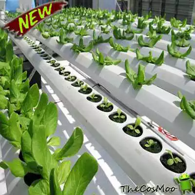 Play Best Hydroponic Farming Ideas